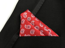 Mantieqingway Paisley Handkerchief for Men Suit Polyester Red Paisley and Dot Men Fashion Paisley Pocket Square Tie Handkerchief
